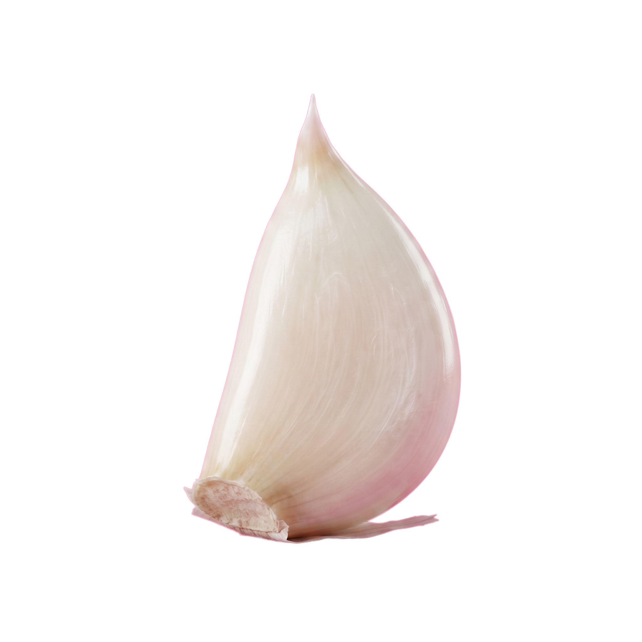 Aglio